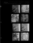 First People "Putting In Tobacco" (8 Negatives) (June 22, 1962) [Sleeve 68, Folder f, Box 27]